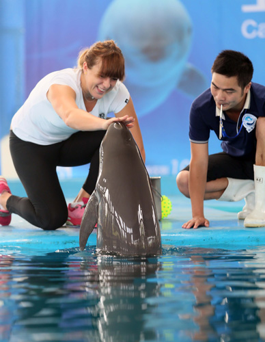 强的斗志和 强的斗志和