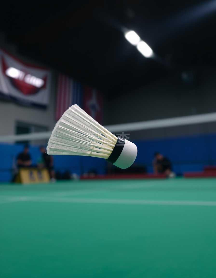 任西班牙国 任西班牙国