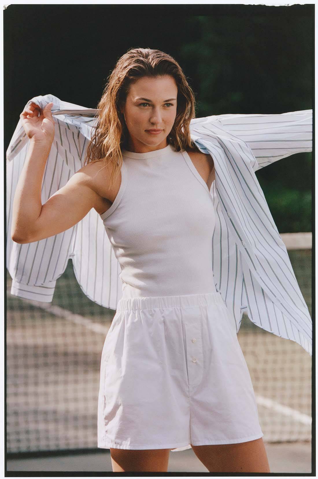 美洲的新星 美洲的新星